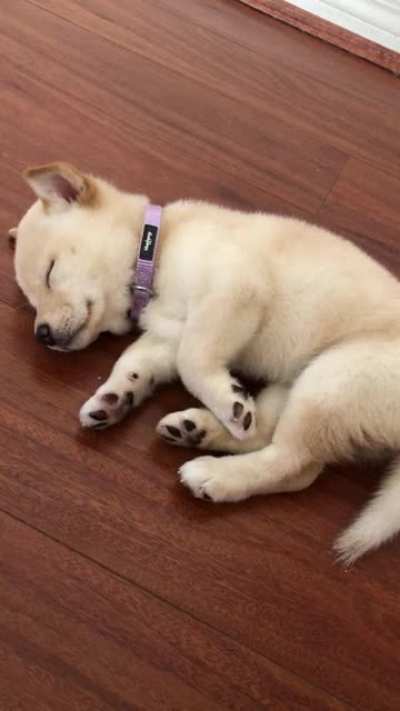 Off in dream land?