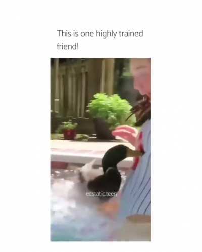 This fits better in this sub