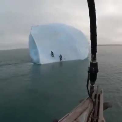this is why you shouldnt climb on icebergs ?