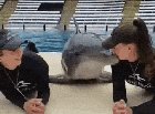 Have you ever been that happy?