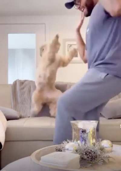 Lets boogie