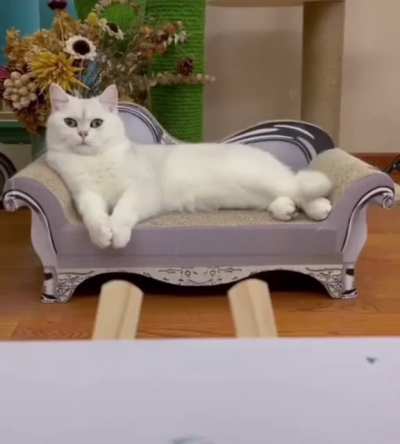 “Paint me like one of your French girls”