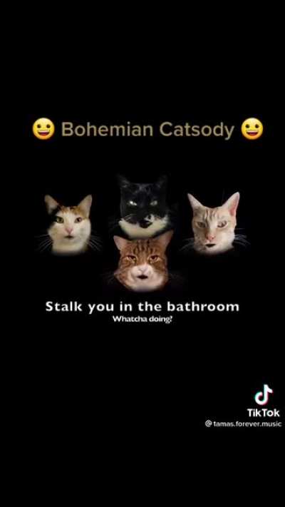 Queen of Cats