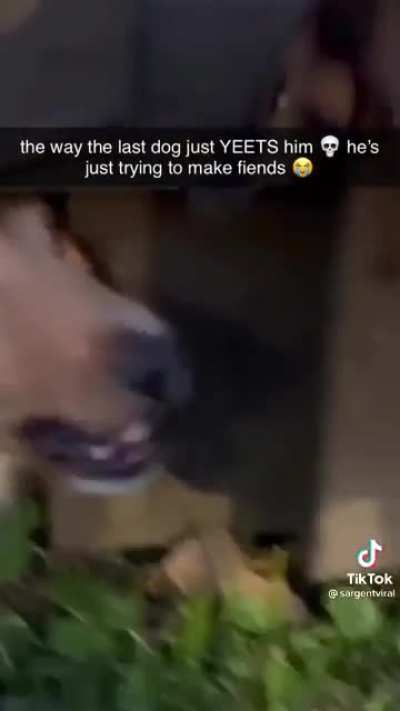 "No! Be nice!"