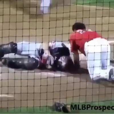 A good ol' day at the ball park