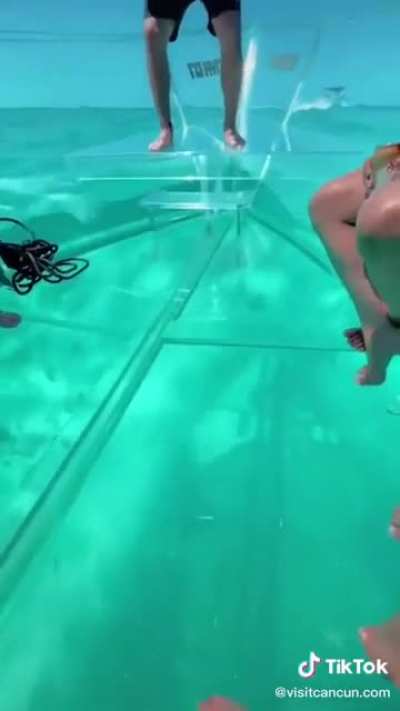 A boat i need In my vacation.