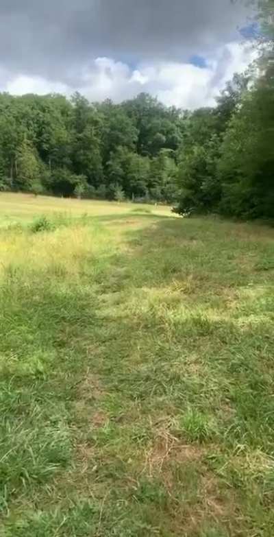 "I think I lost my dog... Wait there he comes"