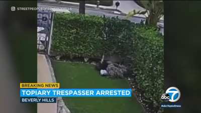 Dude that looks like Patrick Beverly playing hide and seek with the Beverly Hills Police Department. Too much of a coincidence not to post. ?