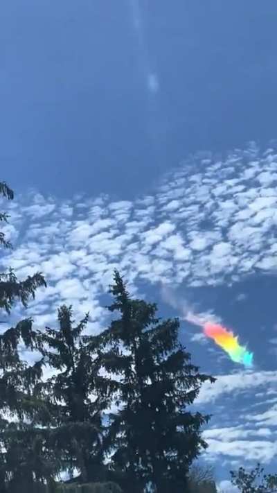 ?A circumhorizontal arc also know as fire rainbow