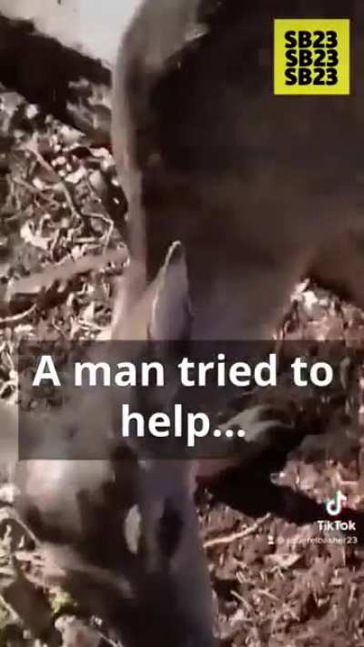 This deer was stuck for 4 hours…