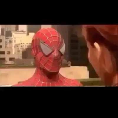 Friendly neighborhood Spider-Man