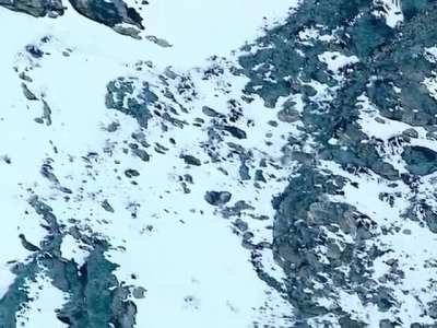 ? Snow leopard and Ibex take a tumble