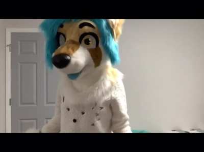 I found this on a furry cringe video