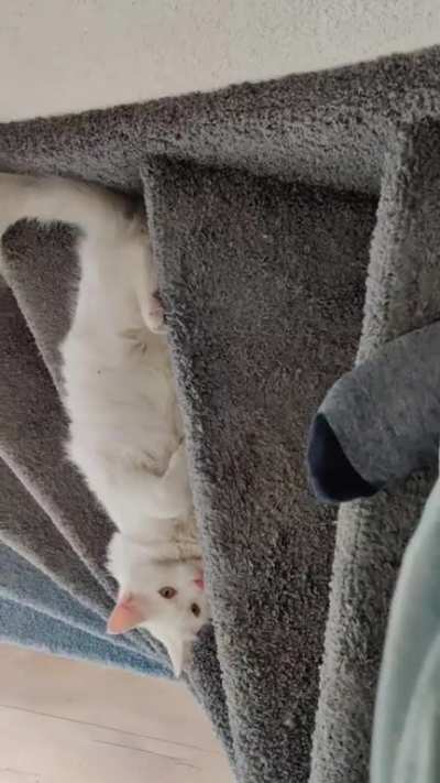You shall not pass