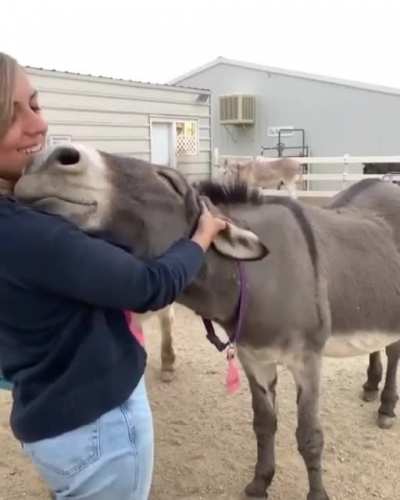 The face of pure happiness ?
