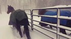 "F*ck this, it's to damn cold. We are going back inside."