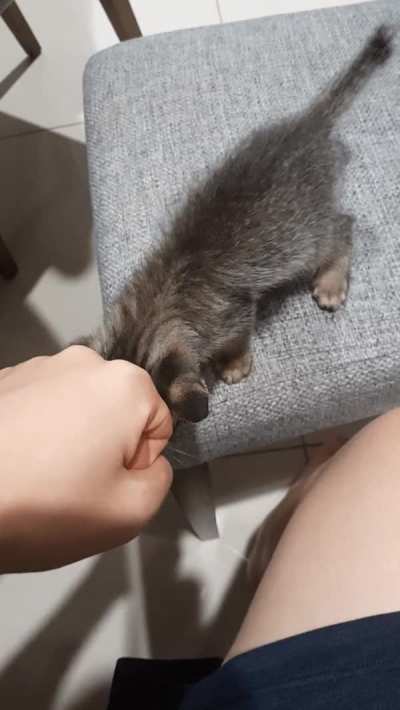 Fistbump!