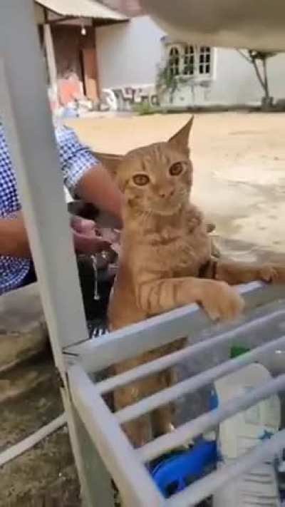 street shower
