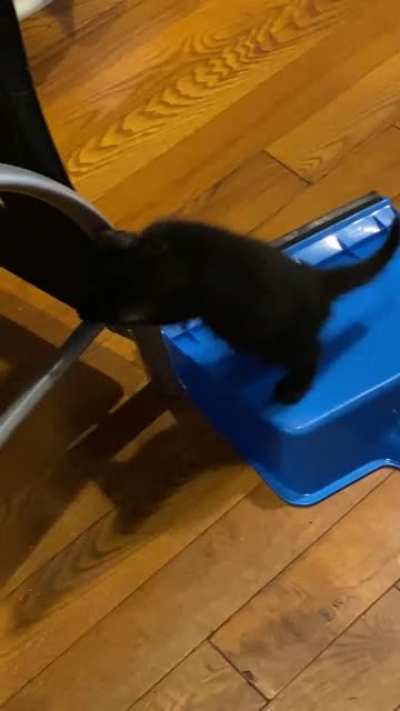Illegally cleaning