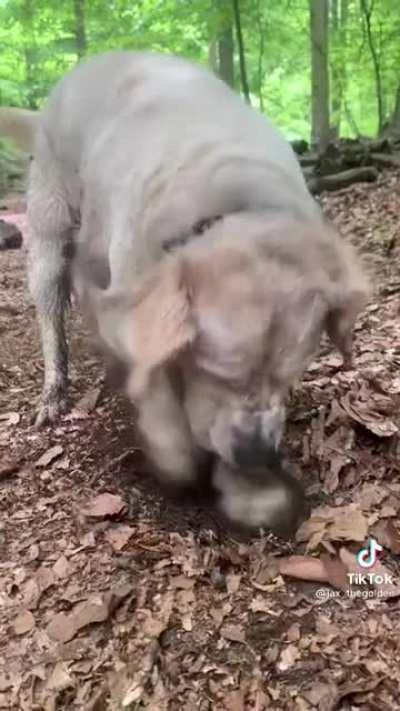 A bit much
