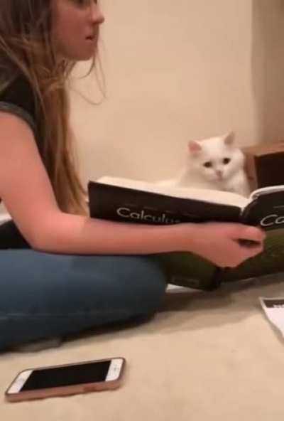 He Is Trying