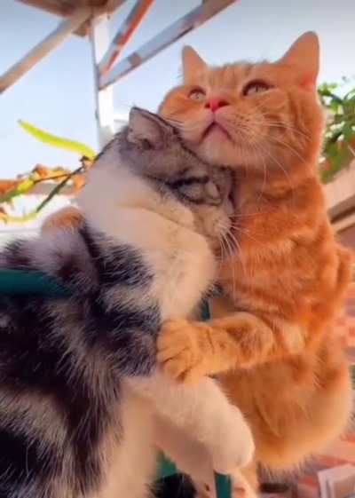 Do u believe that love exists??