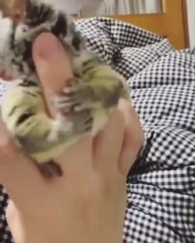 Cute little guy