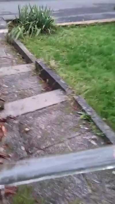 removing frozen water