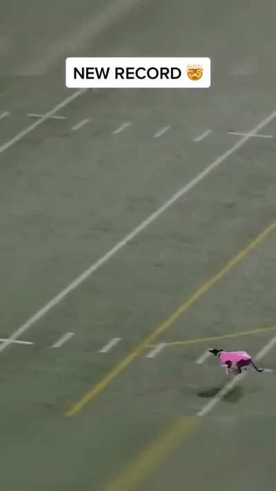 World record for longest catch at a sporting event