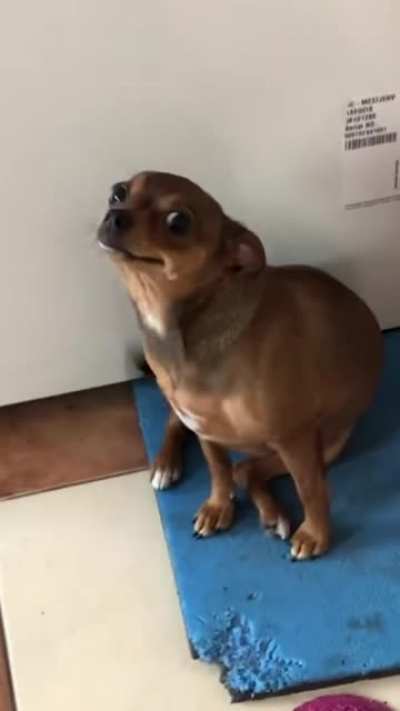 The "I've only just met you but I love you" look