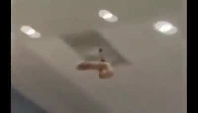 Helicopter
