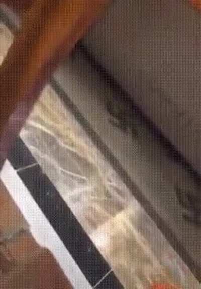 2 HolUps in one