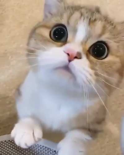 Those Eyes