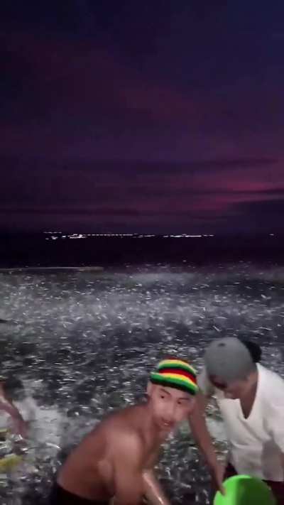 Millions of sardines mysteriously washed up on the shore in the Philippines, turning the coastline silver for miles