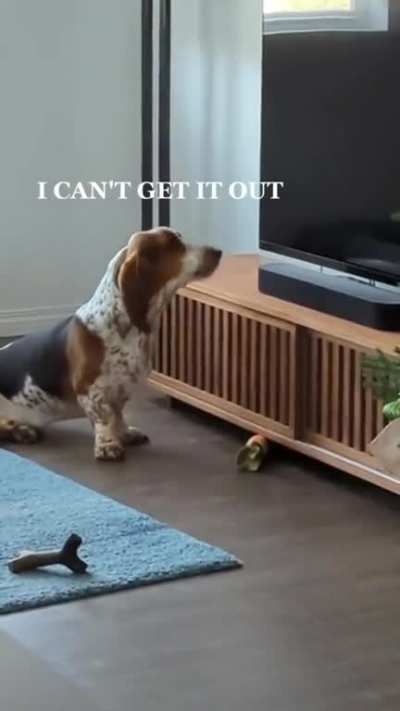 I need your help human