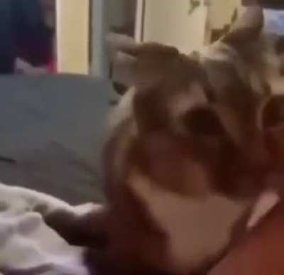 Wants some loving??