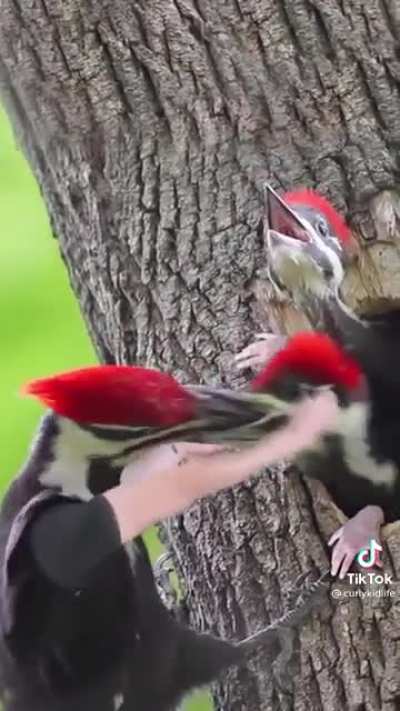 Maybe maybe maybe