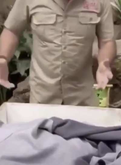 Ouch the camera