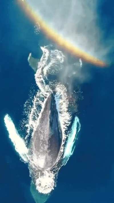 ? Epic rainbow shot