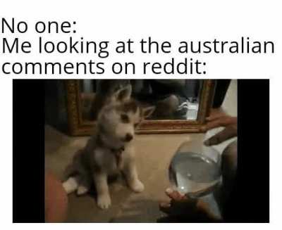 ǝlʇᴉʇ ƃuᴉʇsǝɹǝʇuᴉ u∀