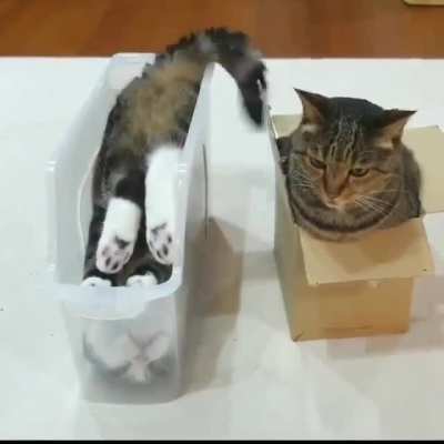 "My life got flipped-turned upside down..."