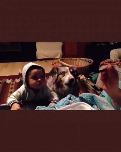 Mom & dad are trying to get their baby to say "mama" & "more". Instead, they burst out laughing when their dog says it first. Every child deserves to grow up with a good dog