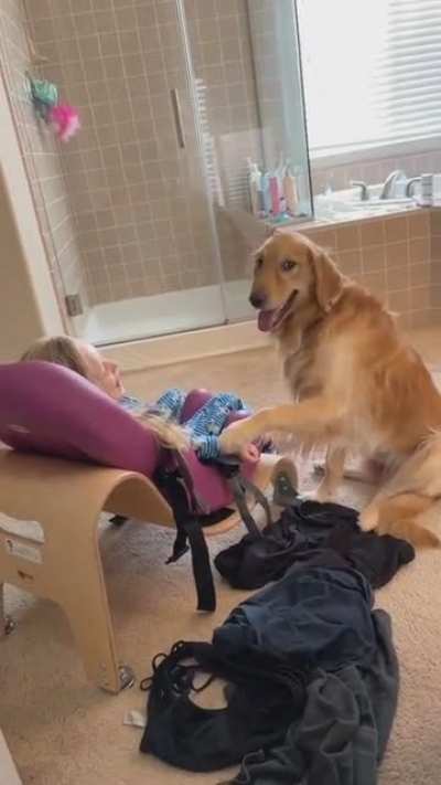 Good boy