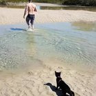 Cat swimming