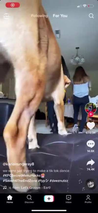 What a dance