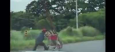 Idiot in cart