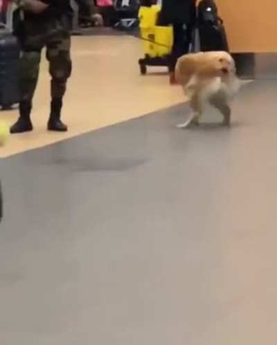 Professional airport security, multitasking