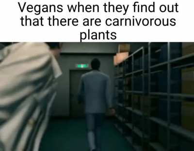 what the vegans gonna do now?
