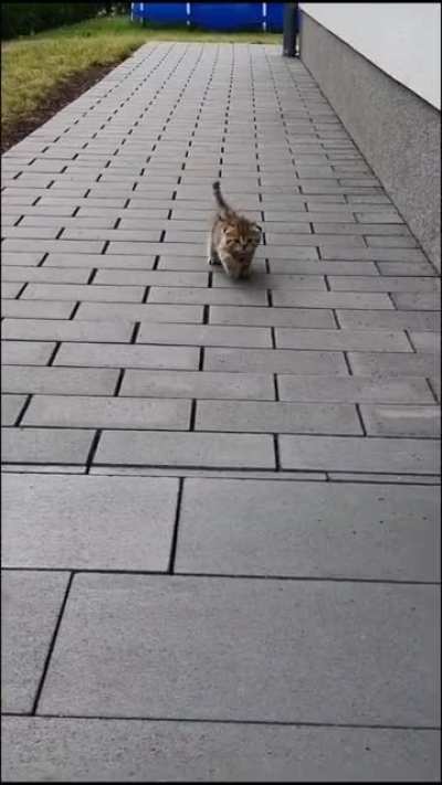 How can you tell its my first time out ?