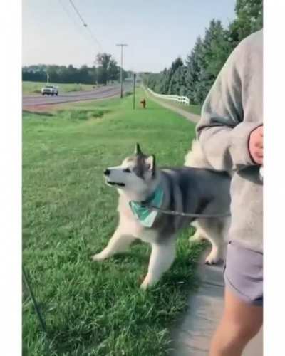 Who put that there?!